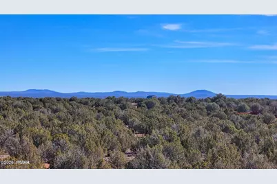 9023 Appaloosa Trail Lot D 10 Acres, Show Low, AZ 85901 - Photo 4