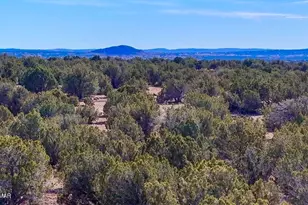 9023 Appaloosa Trail Lot D 10 Acres, Show Low, AZ 85901 - Photo 1