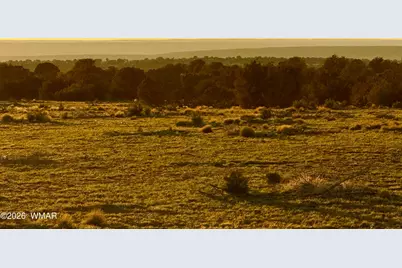 9023 Appaloosa Trail Lot D 10 Acres, Show Low, AZ 85901 - Photo 20