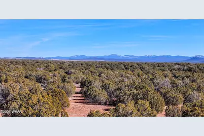 9023 Appaloosa Trail Lot D 10 Acres, Show Low, AZ 85901 - Photo 10