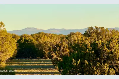 9023 Appaloosa Trail Lot D 10 Acres, Show Low, AZ 85901 - Photo 22