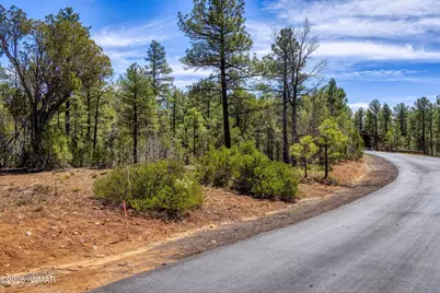 1651 S Falling Leaf Road, Show Low, AZ 85901 - Photo 16