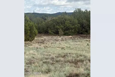 20 N3065, Vernon, AZ 85940 - Photo 4
