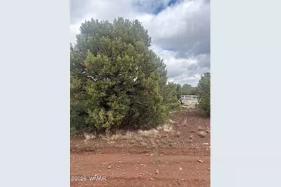 20 N3065, Vernon, AZ 85940 - Photo 6
