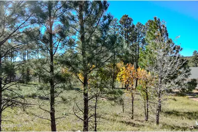 685 Kuhn Road, Pinedale, AZ 85934 - Photo 44