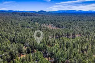 8543 Country Club Dr, Pinetop, AZ 85935 - Photo 32