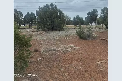 8427 Cochise Circle, Show Low, AZ 85901 - Photo 6