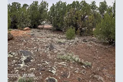8427 Cochise Circle, Show Low, AZ 85901 - Photo 4