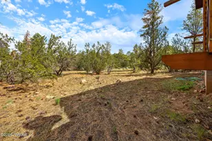 3166 Chevelon Rd, Overgaard, AZ 85933 - Photo 30