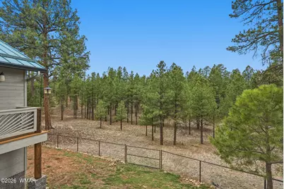 2542 Sioux Lane, Happy Jack, AZ 86024 - Photo 36