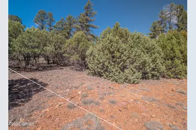 1260 S Lakeside Trail, Show Low, AZ 85901 - Photo 20