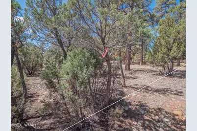 1260 S Lakeside Trail, Show Low, AZ 85901 - Photo 28