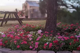 1412 Amanda Dr, Lakeside, AZ 85929 - Photo 6