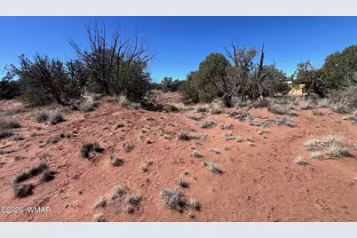 4052 Colt Road, Snowflake, AZ 85937 - Photo 8