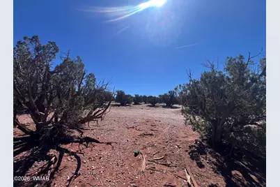 4052 Colt Road, Snowflake, AZ 85937 - Photo 14