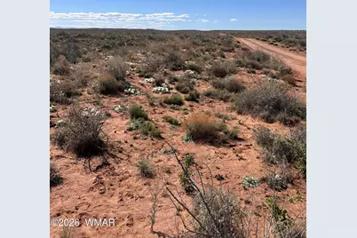 5647 Kohl Road, Snowflake, AZ 85937 - Photo 4