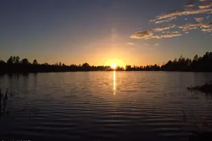 921 Lauren Ct, Show Low, AZ 85901 - Photo 38