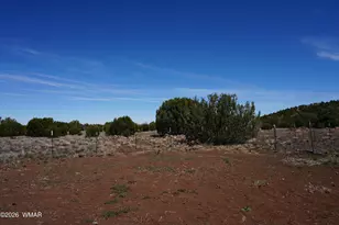 15 N3101, Vernon, AZ 85940 - Photo 84