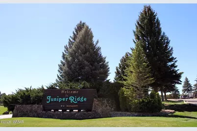 8276 Lake Shore Drive, Unit 302 #302, Show Low, AZ 85901 - Photo 24