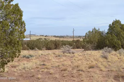 6555 Hunter Road, Snowflake, AZ 85937 - Photo 4