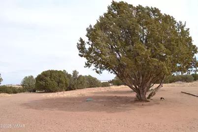 6555 Hunter Road, Snowflake, AZ 85937 - Photo 18