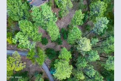 1260 S Lakeside Trail, Show Low, AZ 85901 - Photo 32