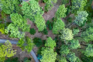 1260 S Lakeside Trl, Show Low, AZ 85901 - Photo 32