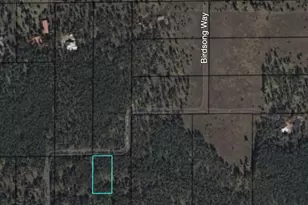 913 Birdsong Wy, Lakeside, AZ 85929 - Photo 32