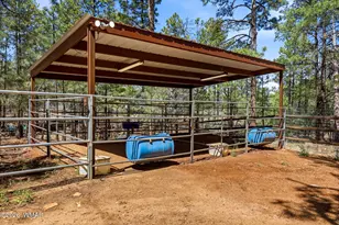 2024 Jone's Pass, Overgaard, AZ 85933 - Photo 40