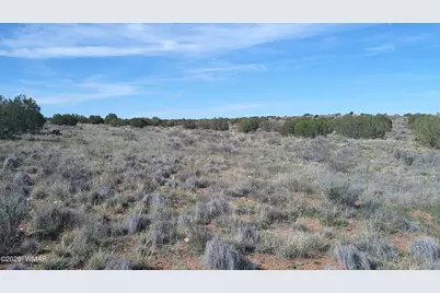 8620 Juniper Berry Trail, Snowflake, AZ 85937 - Photo 24