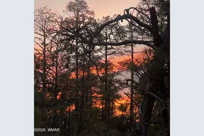 2448 Chiricahua Drive, Show Low, AZ 85901 - Photo 14