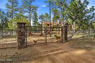 3022 Chevelon Rd, Overgaard, AZ 85933 - Photo 30