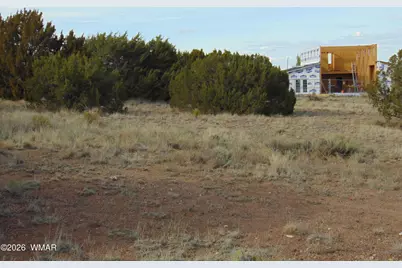 46 Crest Lane, Concho, AZ 85924 - Photo 2