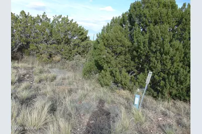 46 Crest Lane, Concho, AZ 85924 - Photo 16