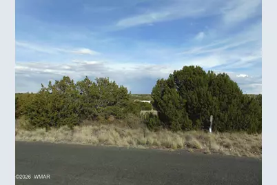 46 Crest Lane, Concho, AZ 85924 - Photo 18