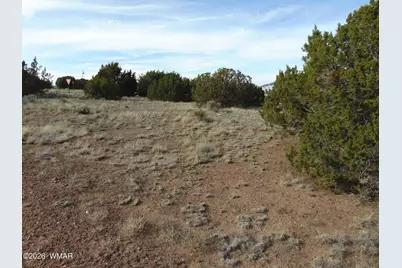 46 Crest Lane, Concho, AZ 85924 - Photo 10