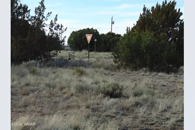 46 Crest Lane, Concho, AZ 85924 - Photo 12