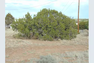 46 Crest Lane, Concho, AZ 85924 - Photo 14