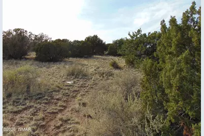 46 Crest Lane, Concho, AZ 85924 - Photo 8