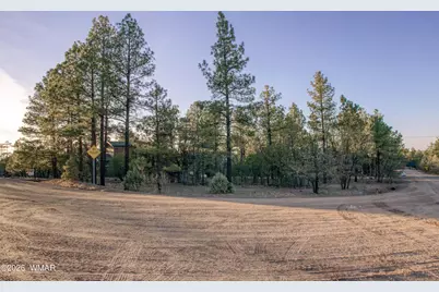 2552 Chiricahua Drive, Show Low, AZ 85901 - Photo 4