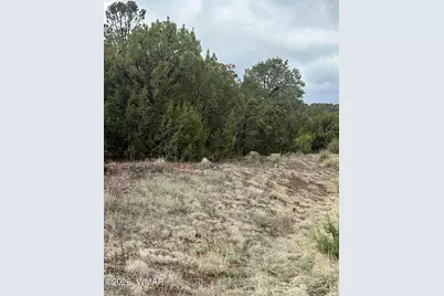 33 N3317, Vernon, AZ 85940 - Photo 2