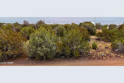 8423 Apache Drive, Show Low, AZ 85901 - Photo 4