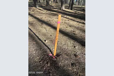 Tbd 212-56-060F, Lakeside, AZ 85929 - Photo 6