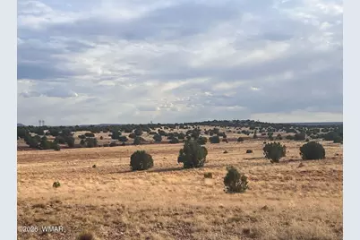 N9237 Miller Lane, Concho, AZ 85924 - Photo 14