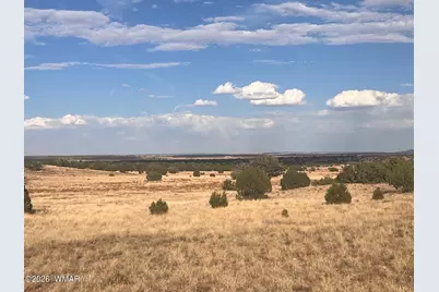 N9237 Miller Lane, Concho, AZ 85924 - Photo 12