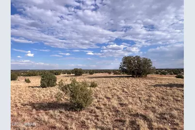 N9237 Miller Lane, Concho, AZ 85924 - Photo 8