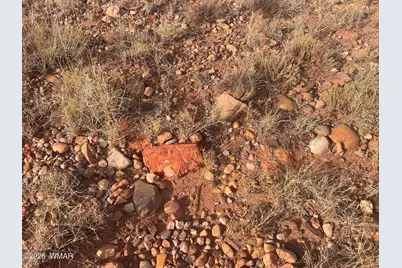 N9237 Miller Lane, Concho, AZ 85924 - Photo 6