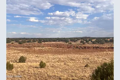 N9237 Miller Lane, Concho, AZ 85924 - Photo 16