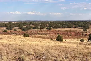 N9237 Miller Ln, Concho, AZ 85924 - Photo 1