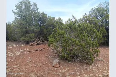 30 N8412, Concho, AZ 85924 - Photo 2
